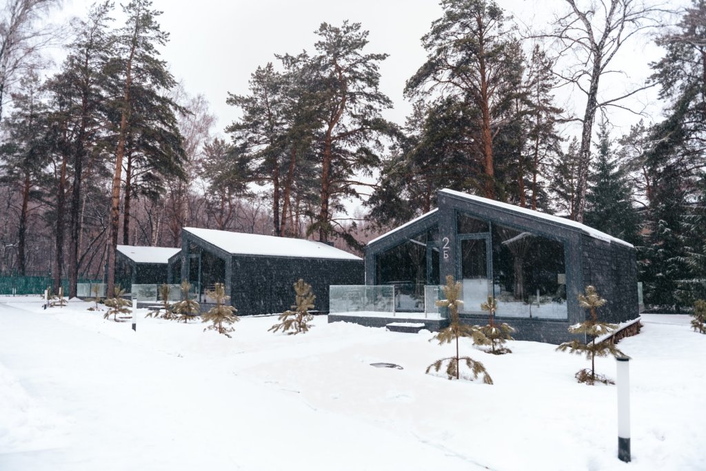 Фото Сосновый бор