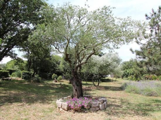 Фото Apartments Ulika