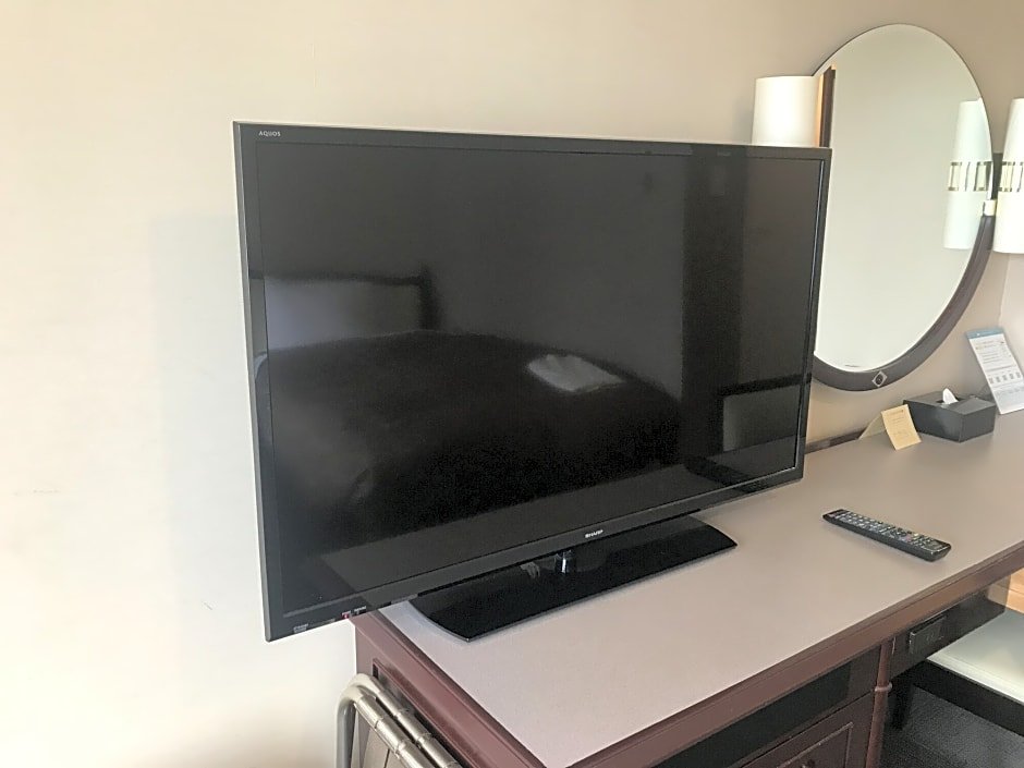 Фото HOTEL MYSTAYS Hiroshima Peace Park