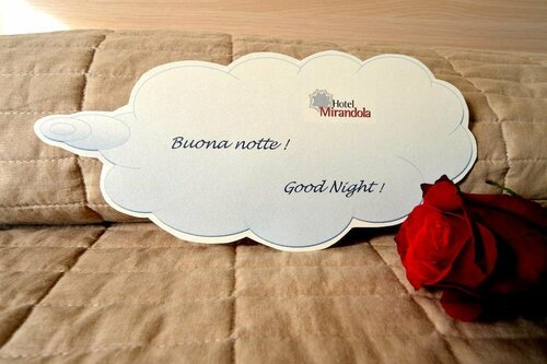 Гостиница Hotel Mirandola