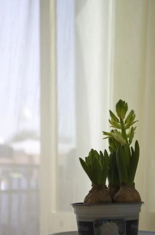 Фото B&b dai Carari