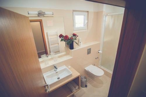 Фото Hotel Phoenix