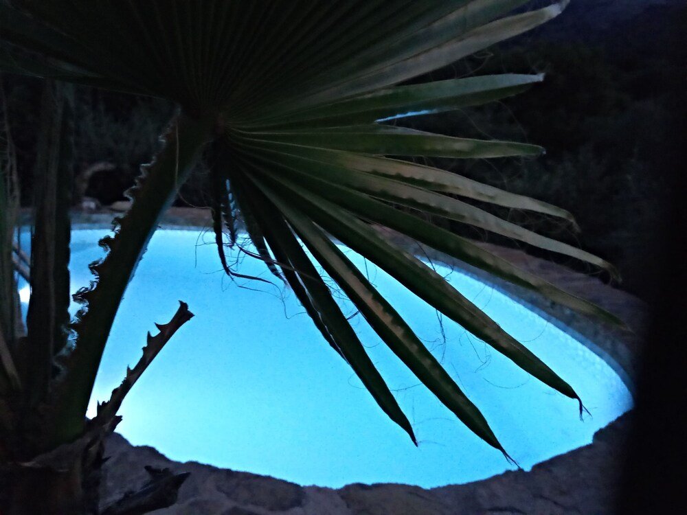 Фото Villa Kastania