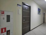Hypnocat studio (ulitsa Duki, 69), it company