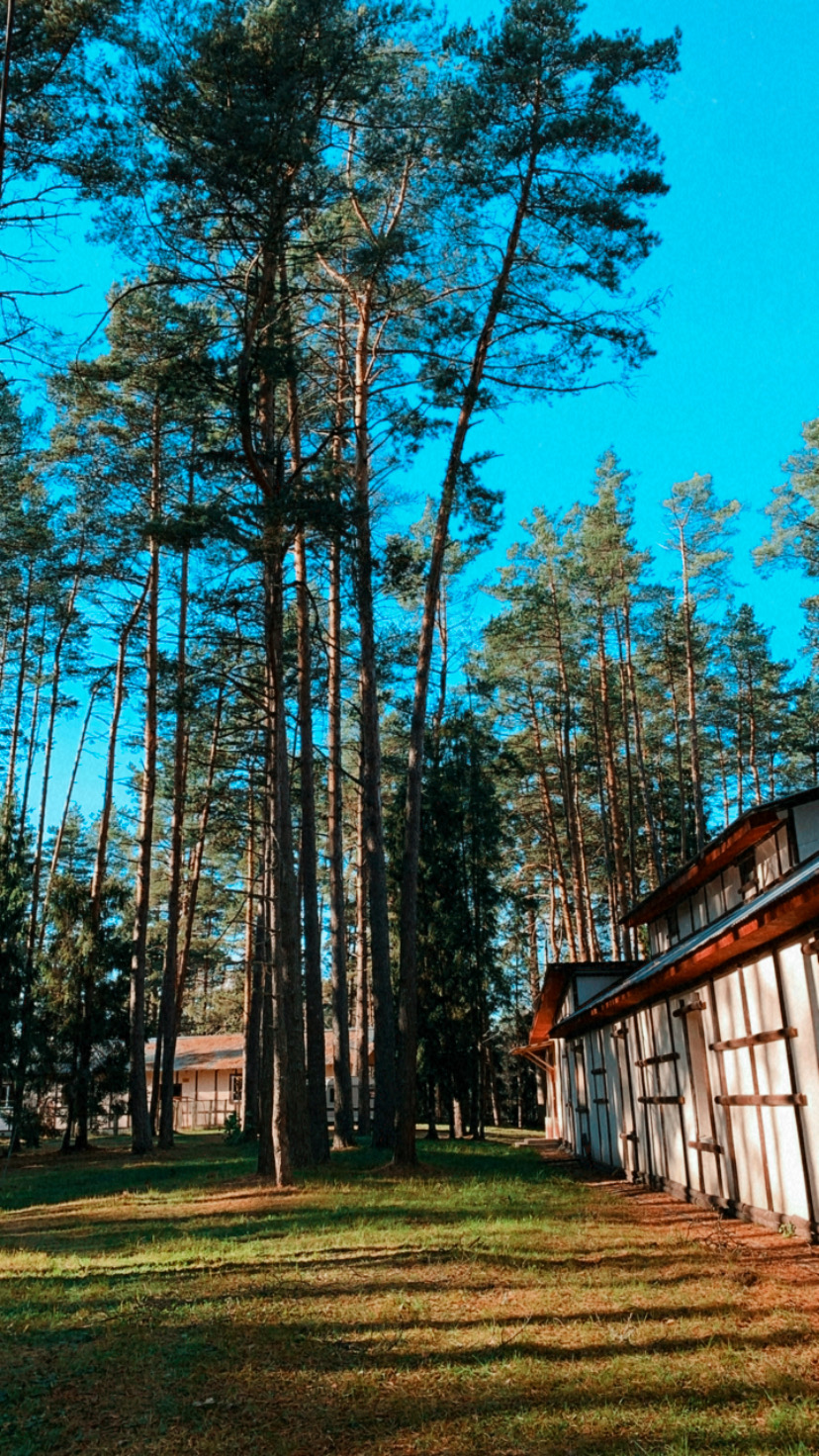 Фото Спутник