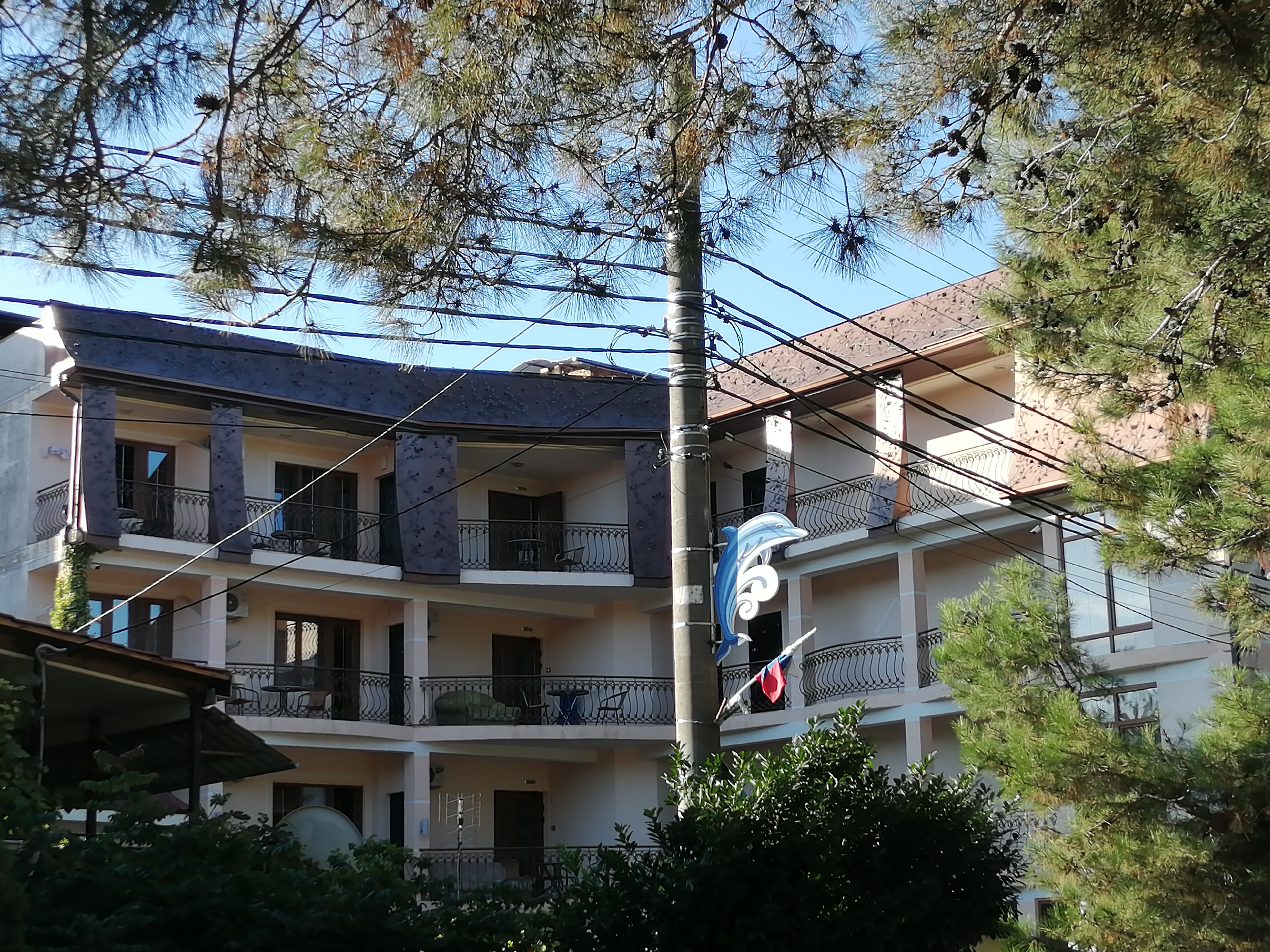 Фото Дивная