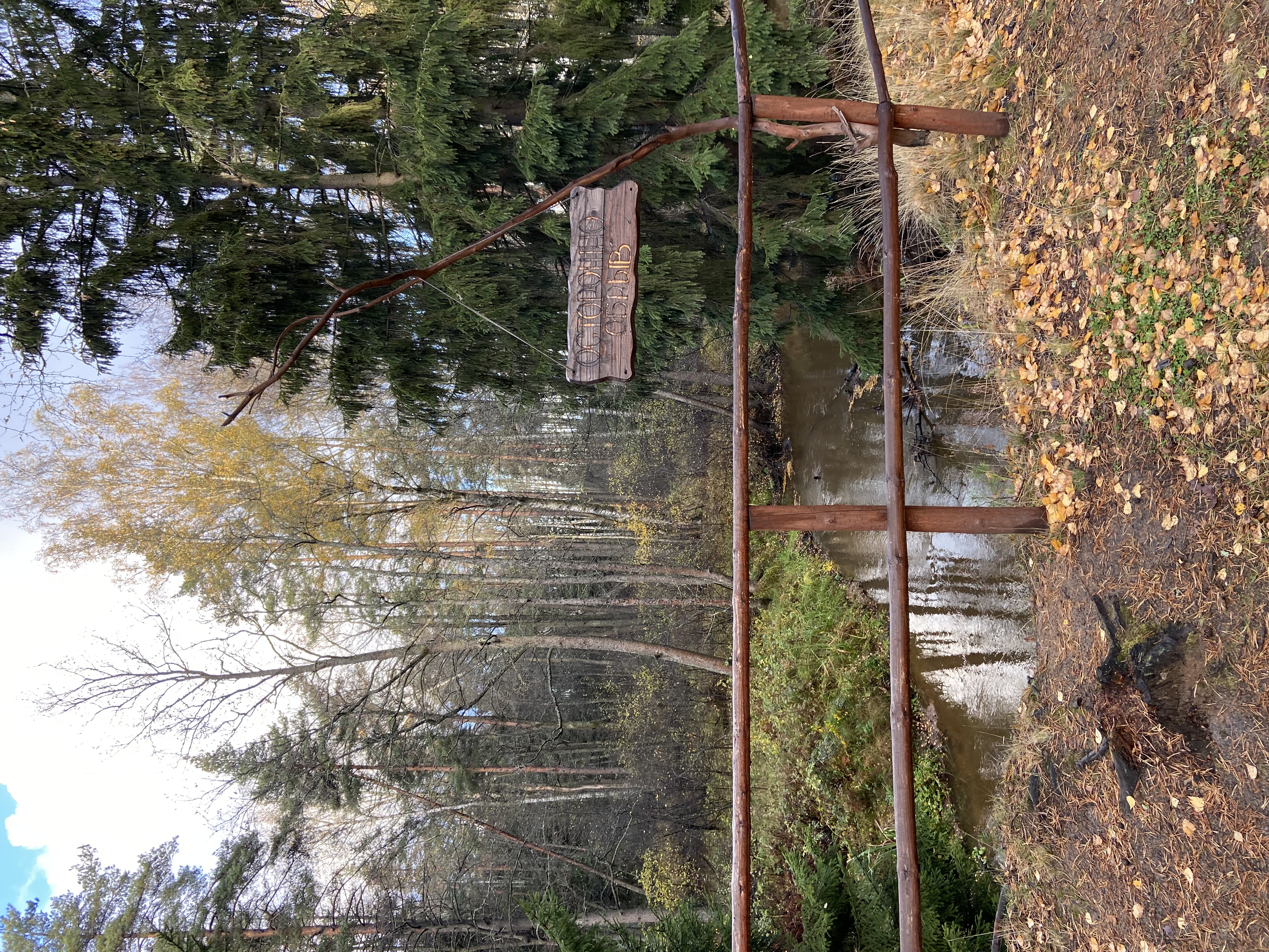 Фото Кургала