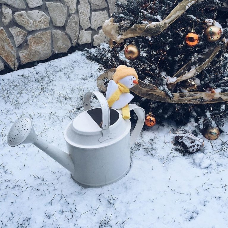 Фото Apartments Hradný Mur