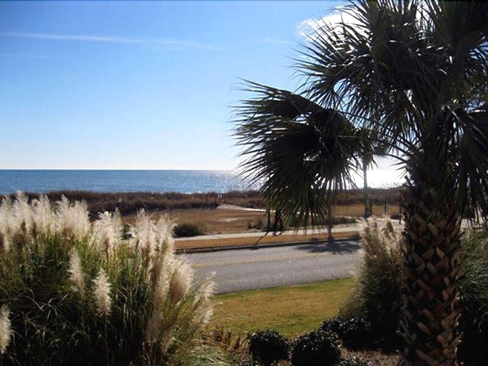 Фото Ocean Forest Plaza by Palmetto Vacation Rental
