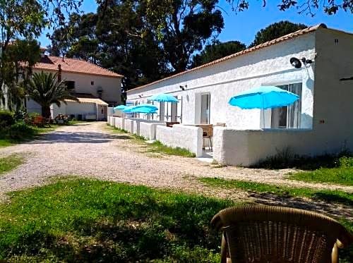 Фото 239591915500