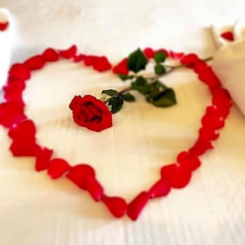 Фото Co Ba Hotel