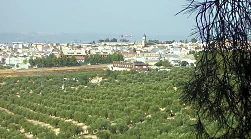 Фото Hotel La Zambra