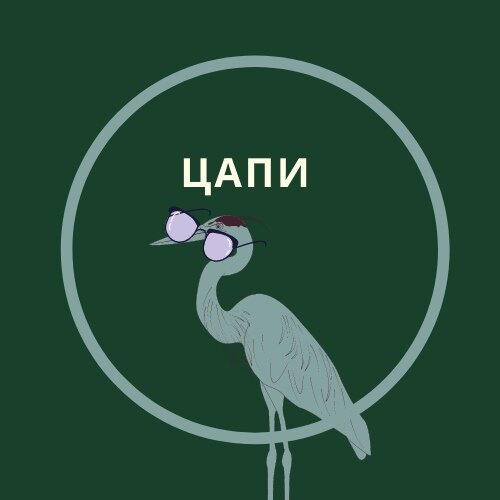 Цапи