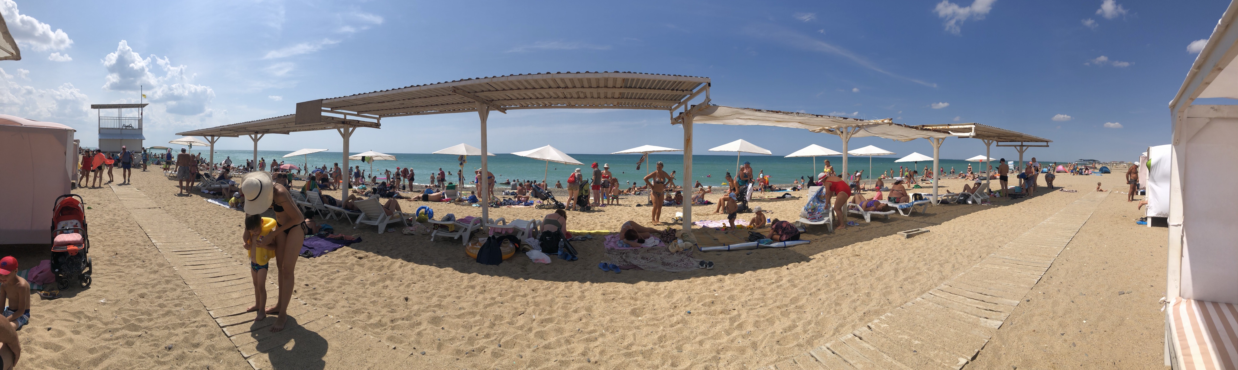 Фото Ботаник