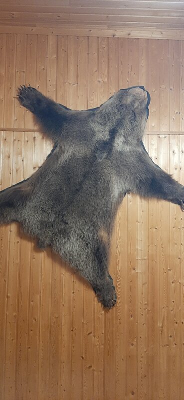 Заповедные устья — фото 37