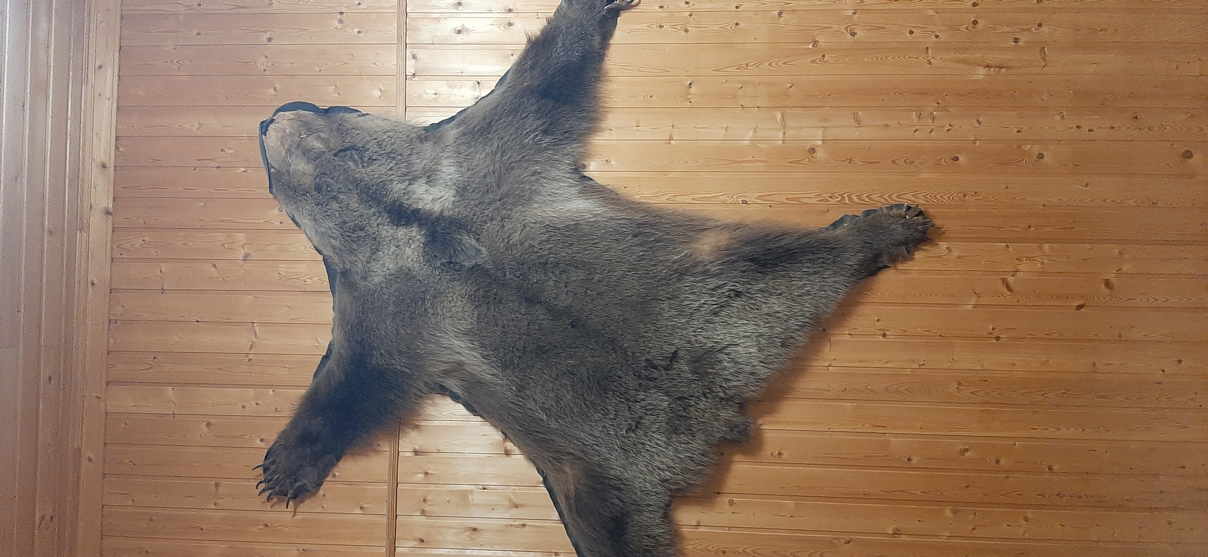 Фото Заповедные устья