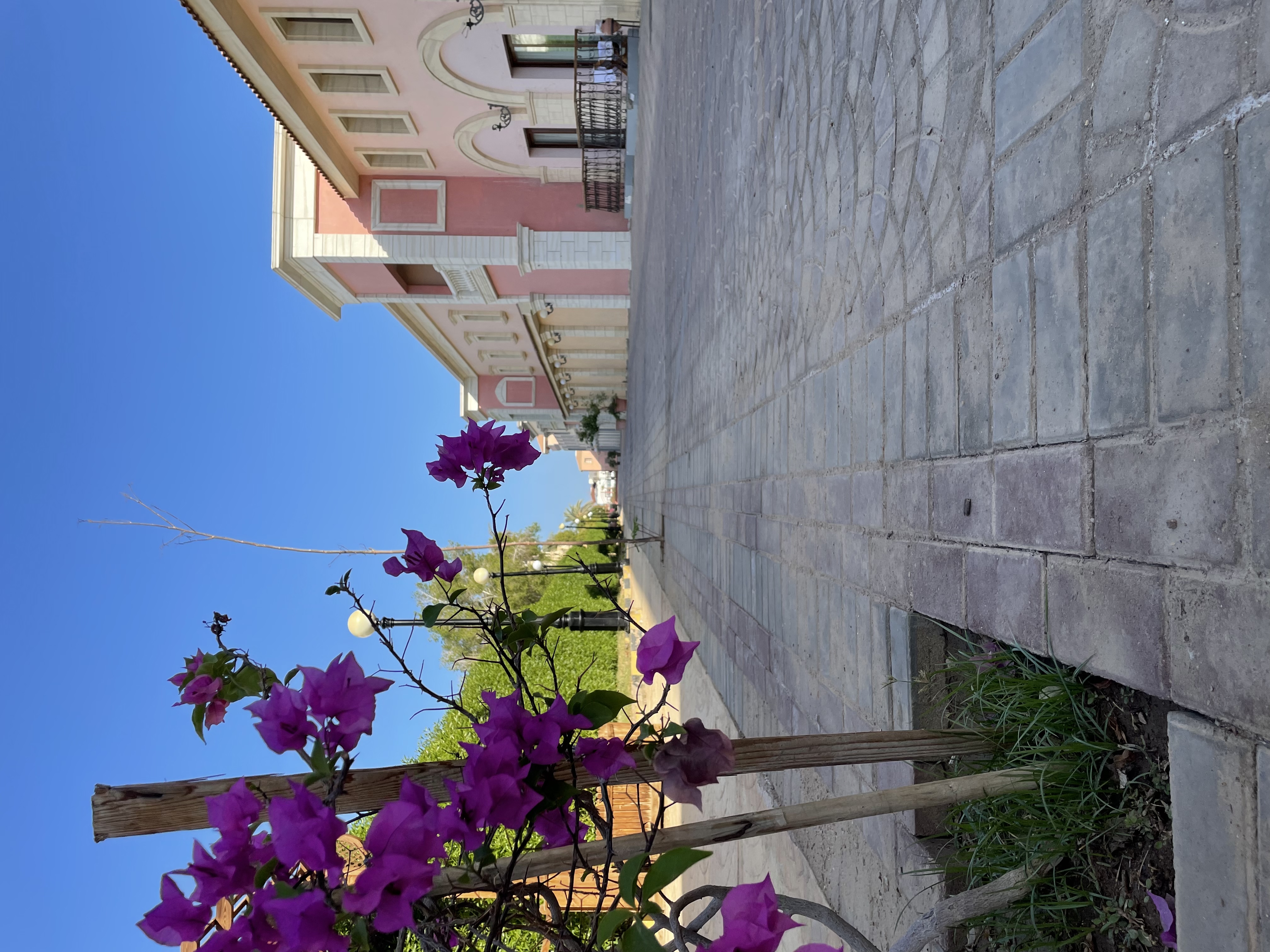 Фото Il Mercato Splash Aqua Park