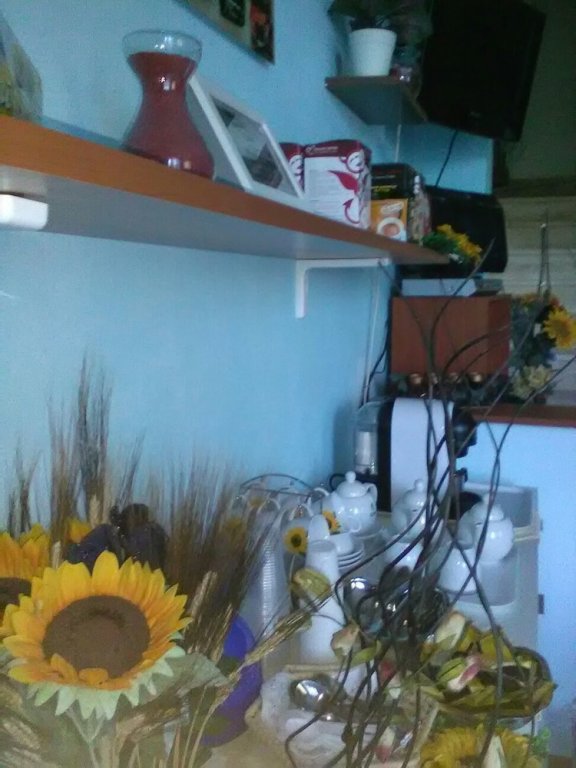 Фото Il Girasole