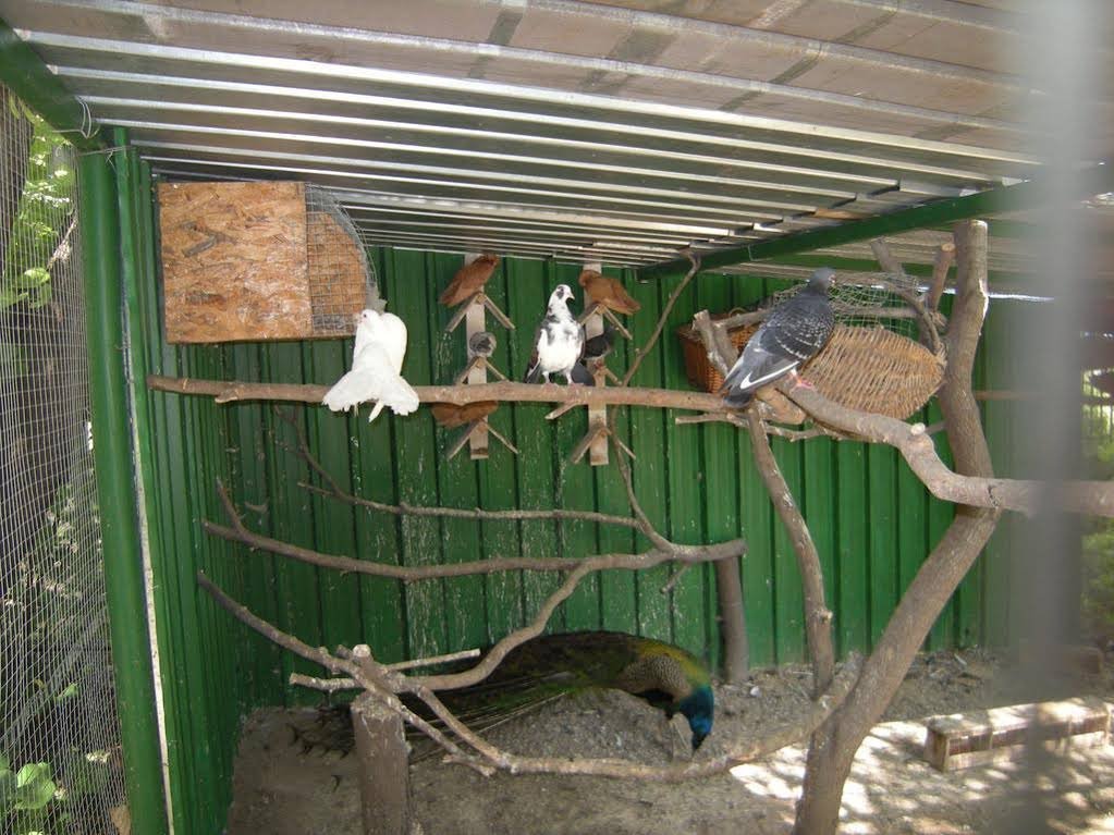 Фото Park Hotel Persey