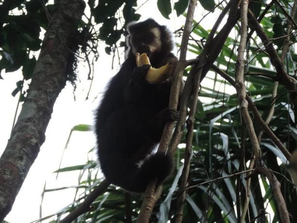 Фото Eco-Residencial Dona Francisca