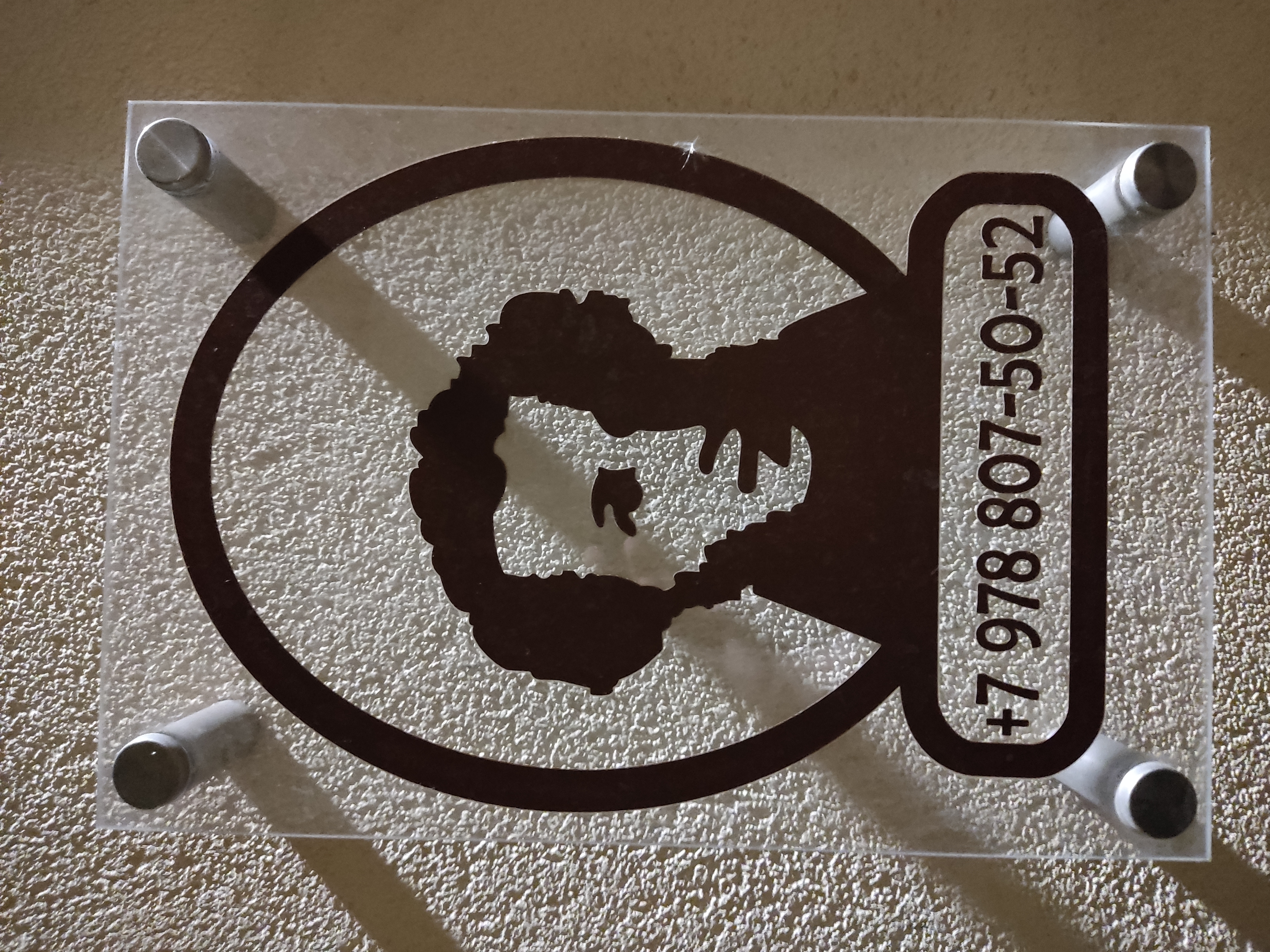 Фото Пушкин