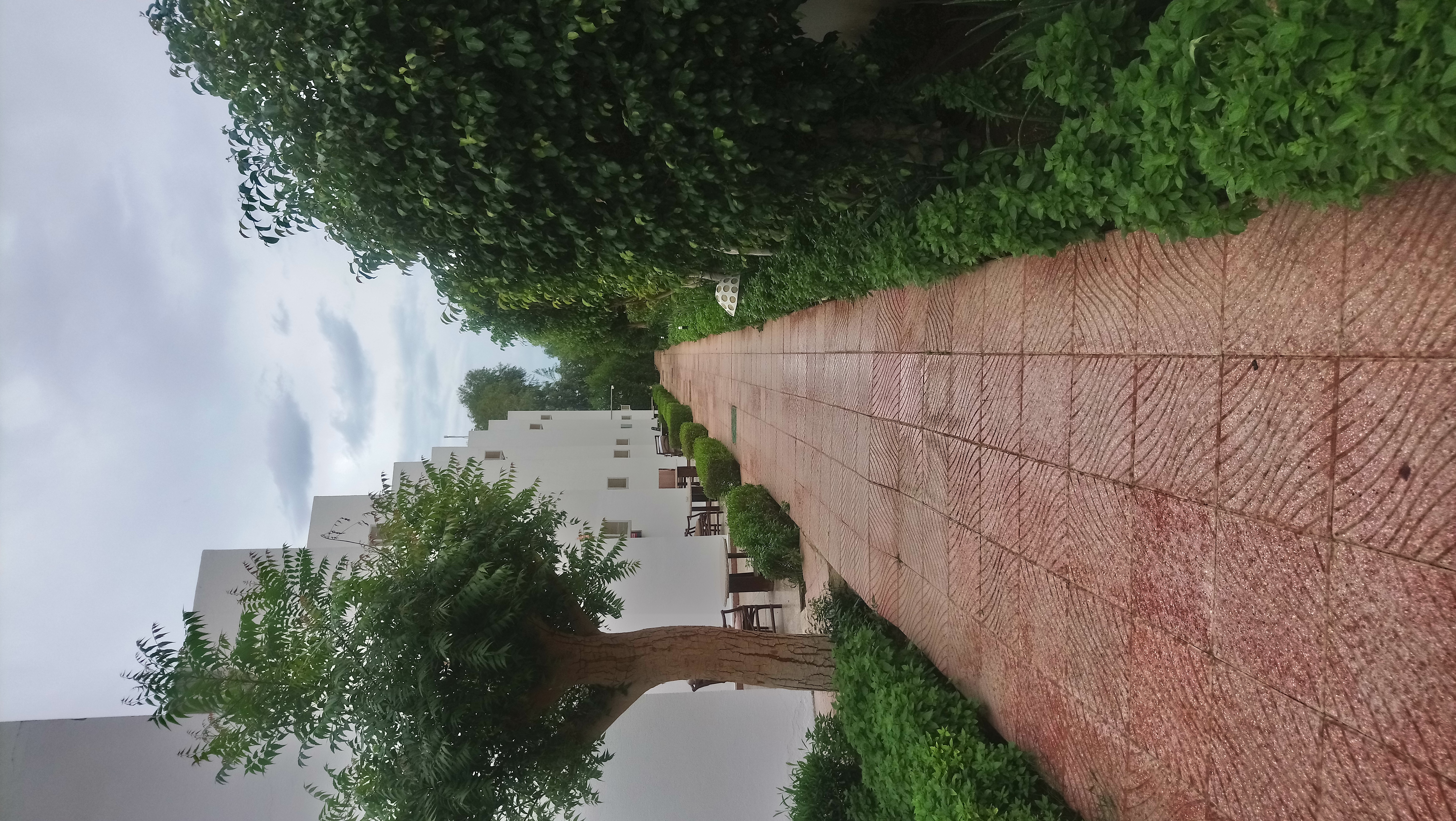 Фото Desert View Sharm Hotel