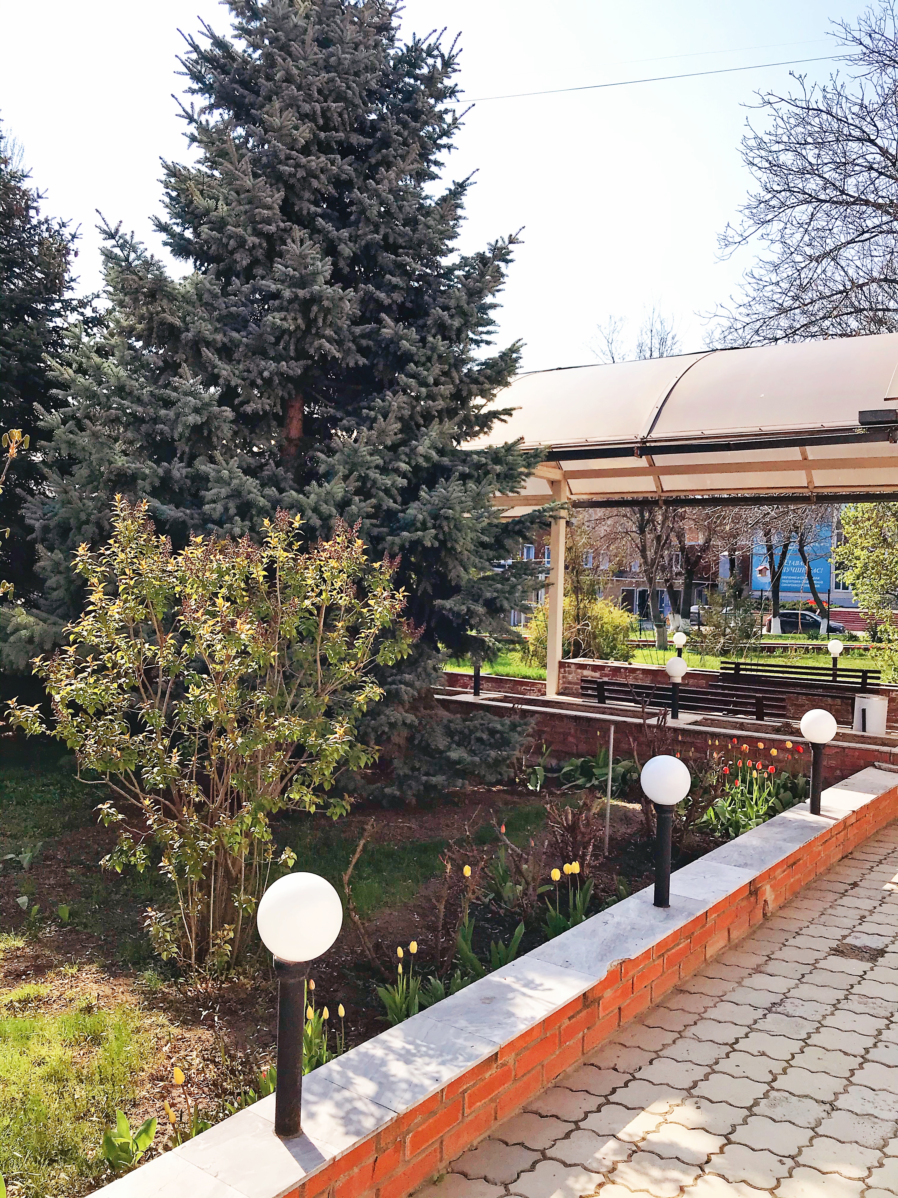 Фото Южная ночь