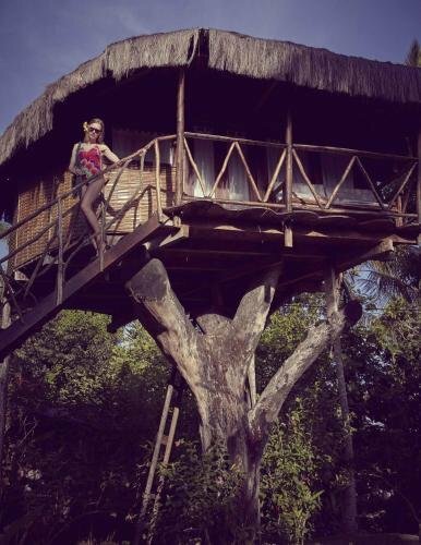 Гостиница Art Jungle Eco Lodge