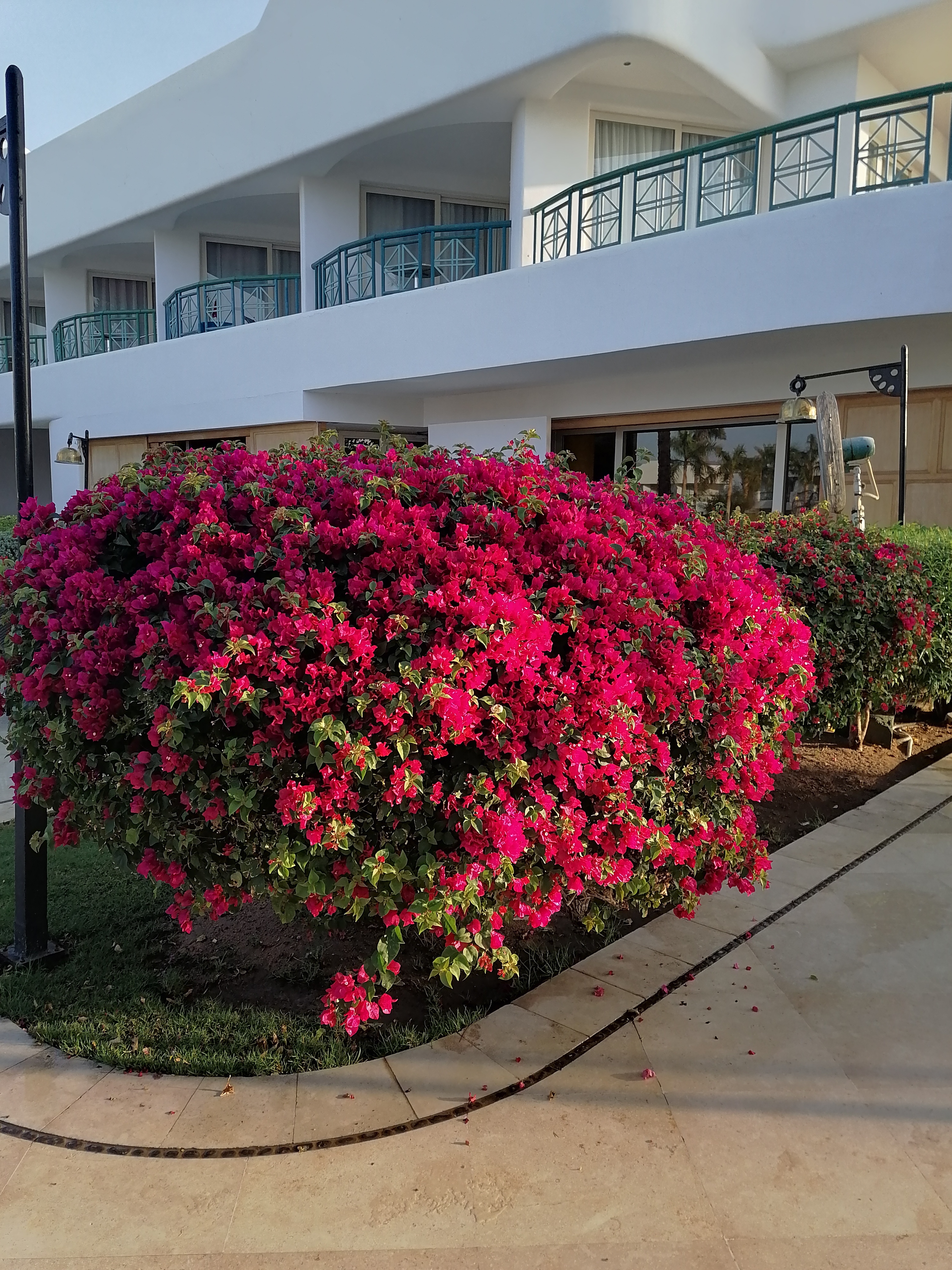 Фото Novotel Sharm El Sheik