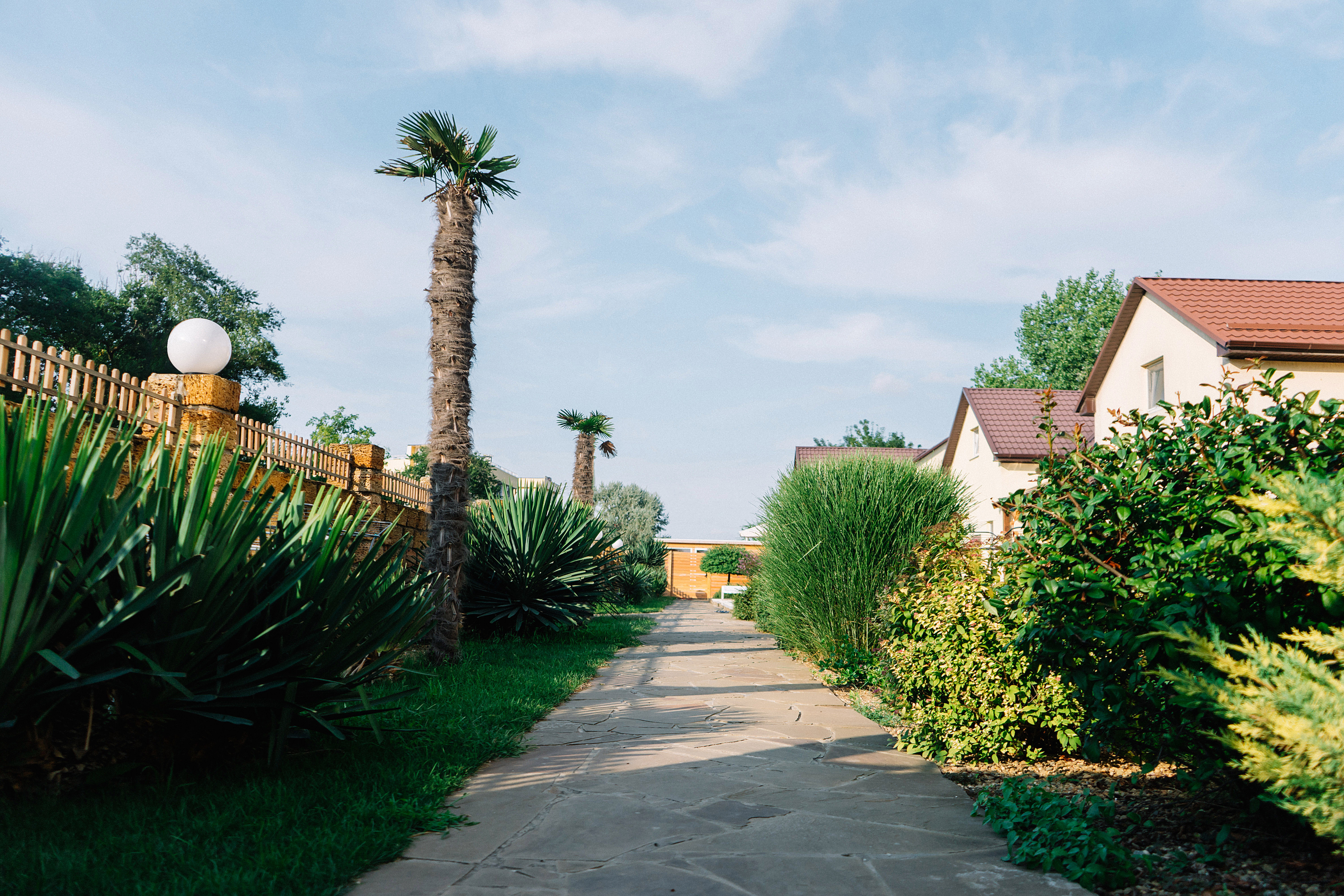 Фото Дублин Дельфин