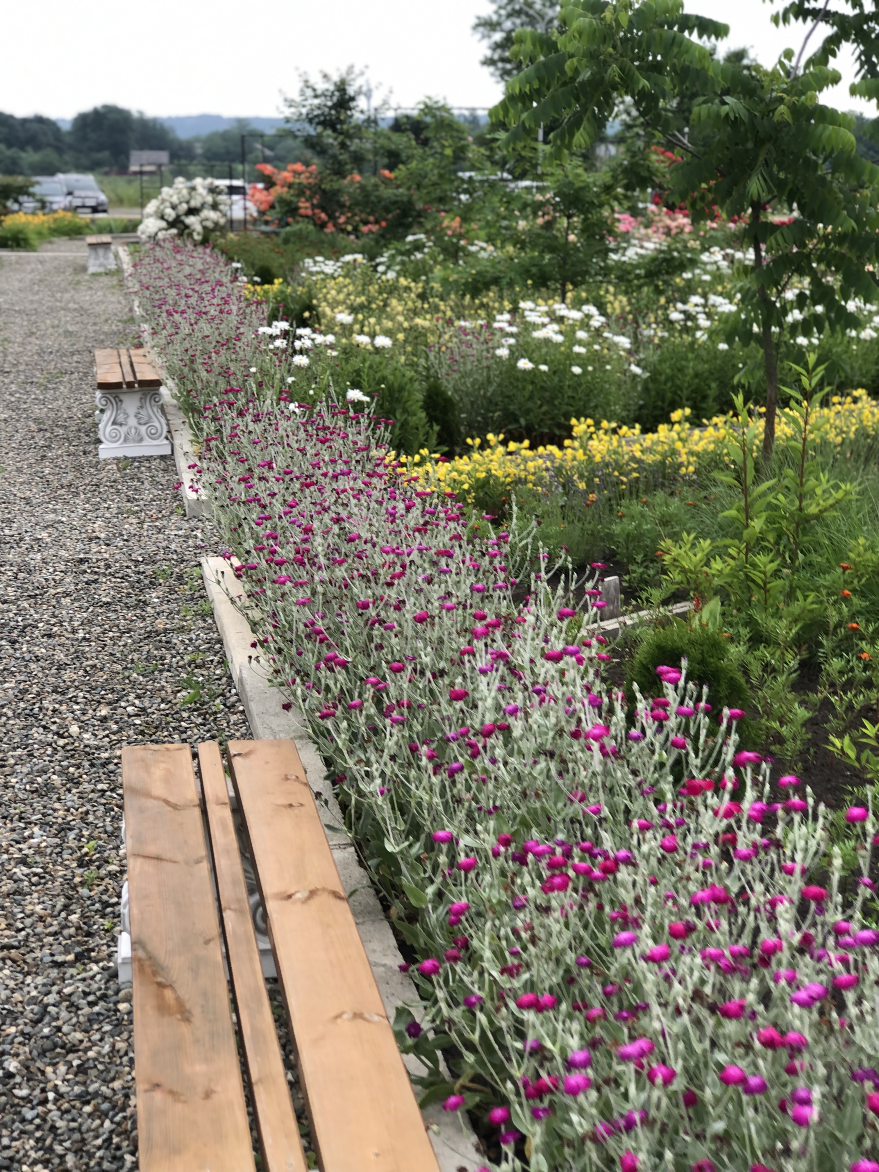 Фото Аква Тоника