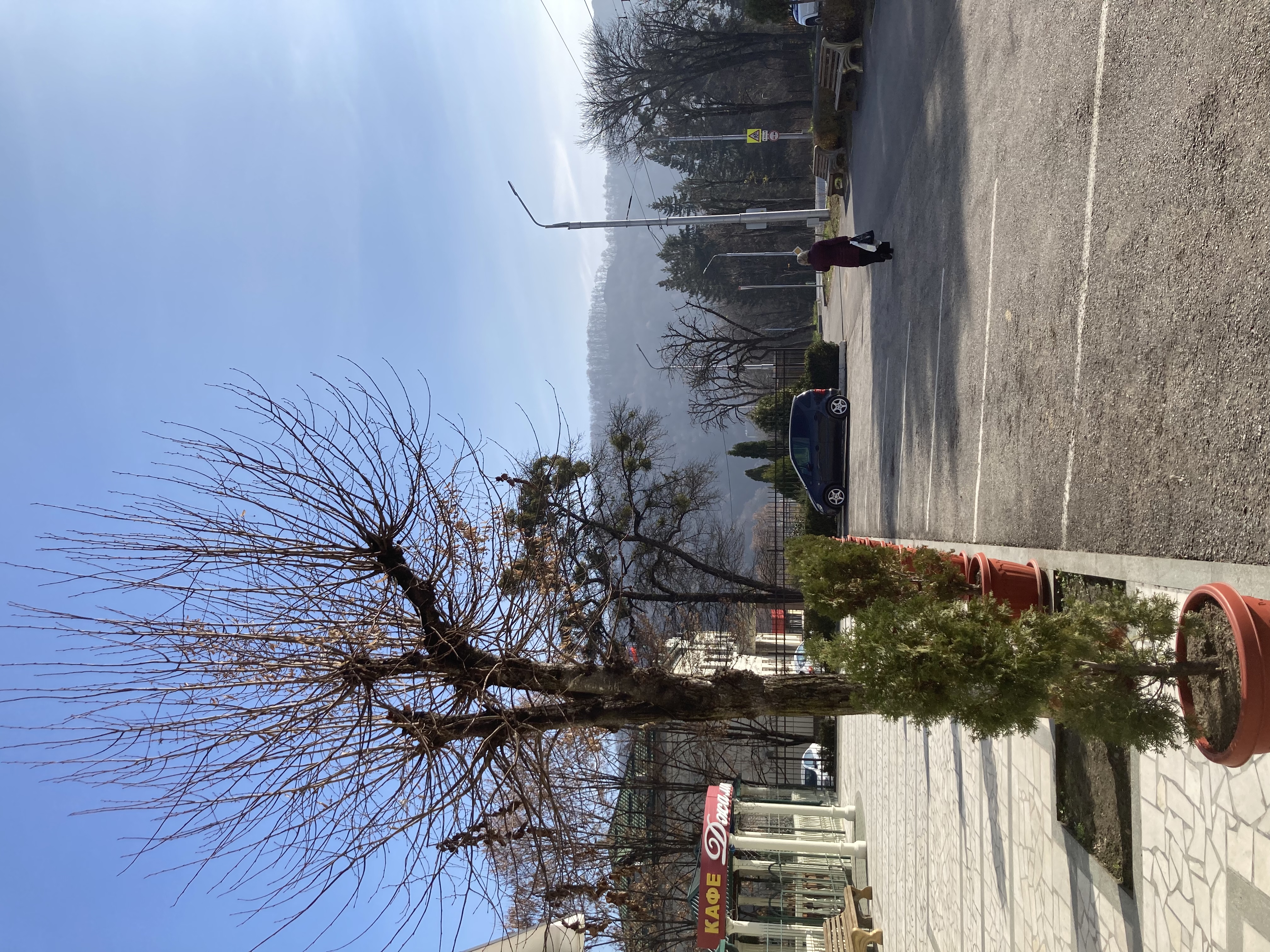 Фото Джамиля