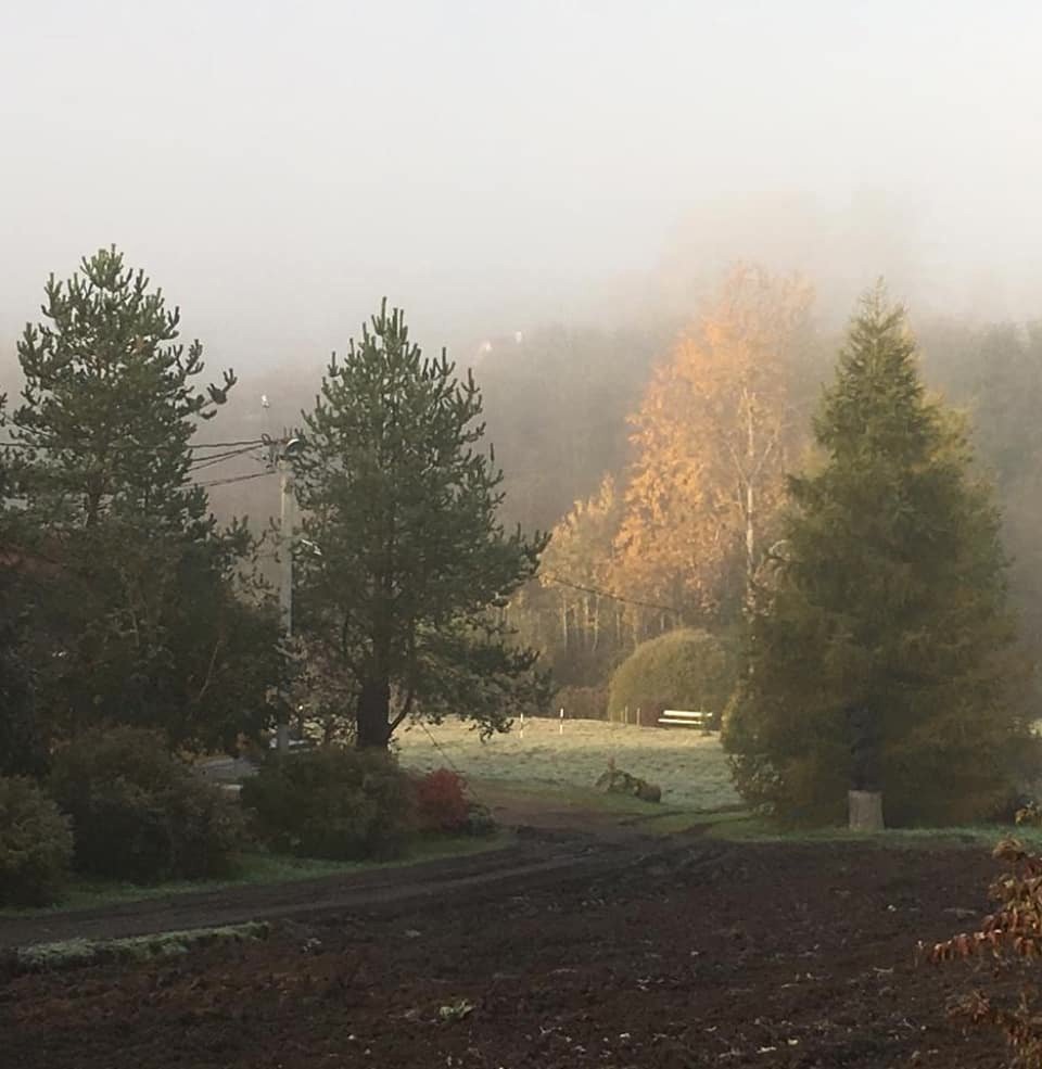 Фото Центр отдыха Усадьба Ястребино
