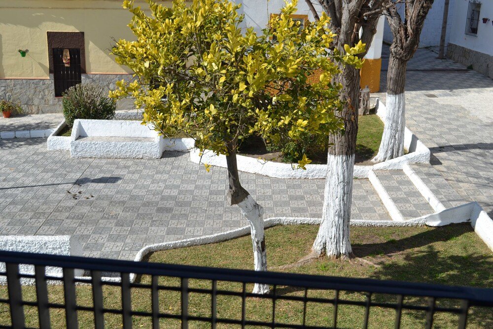 Фото Habitaciones Turísticas Seis Grifos