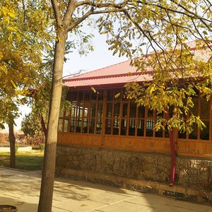 Farmers Teahouse (Kashkadarya Region, Kasan), coffee shop