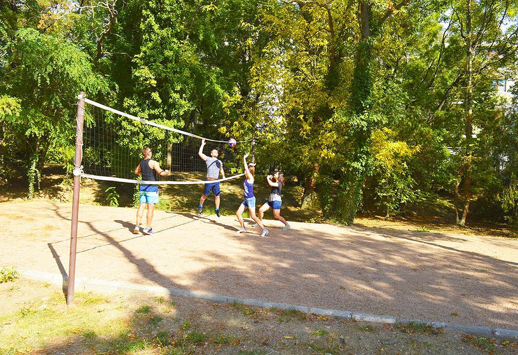 Фото Камелия-Кафа