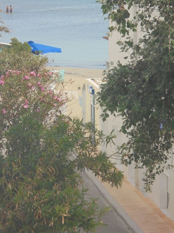 Фото Georgia Mare