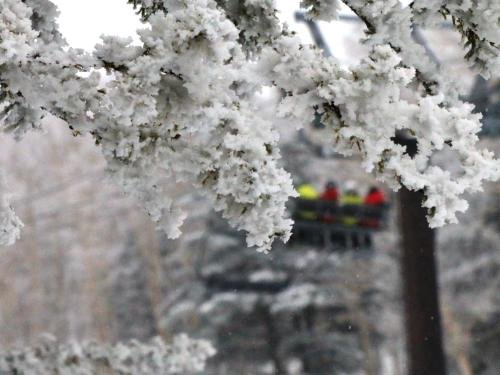 Фото Shiga Grand Hotel