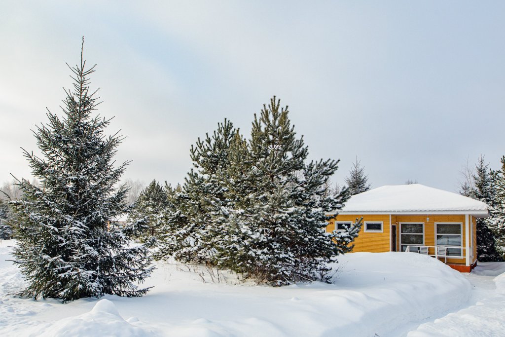 Фото Деревенька в лесу