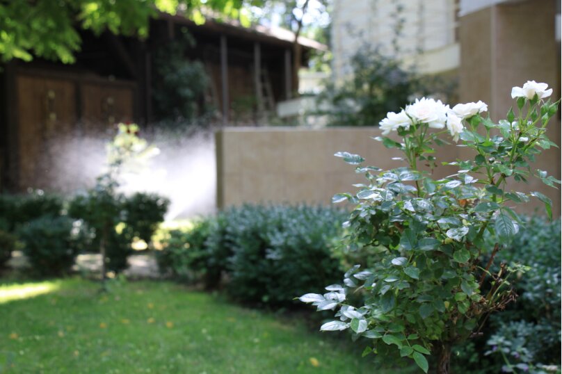 Фото Art Hotel Koktebel Apartments