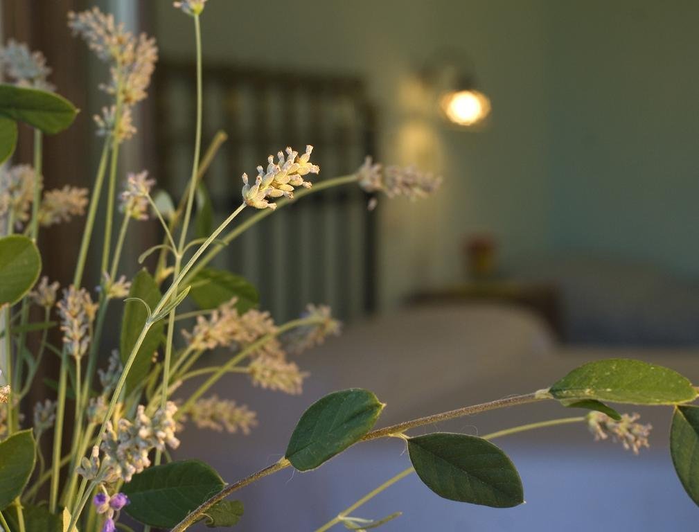 Фото Borgo Le Capannelle