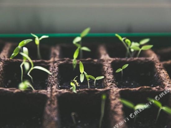 Фото Staybridge Suites Niagara-On-The-Lake