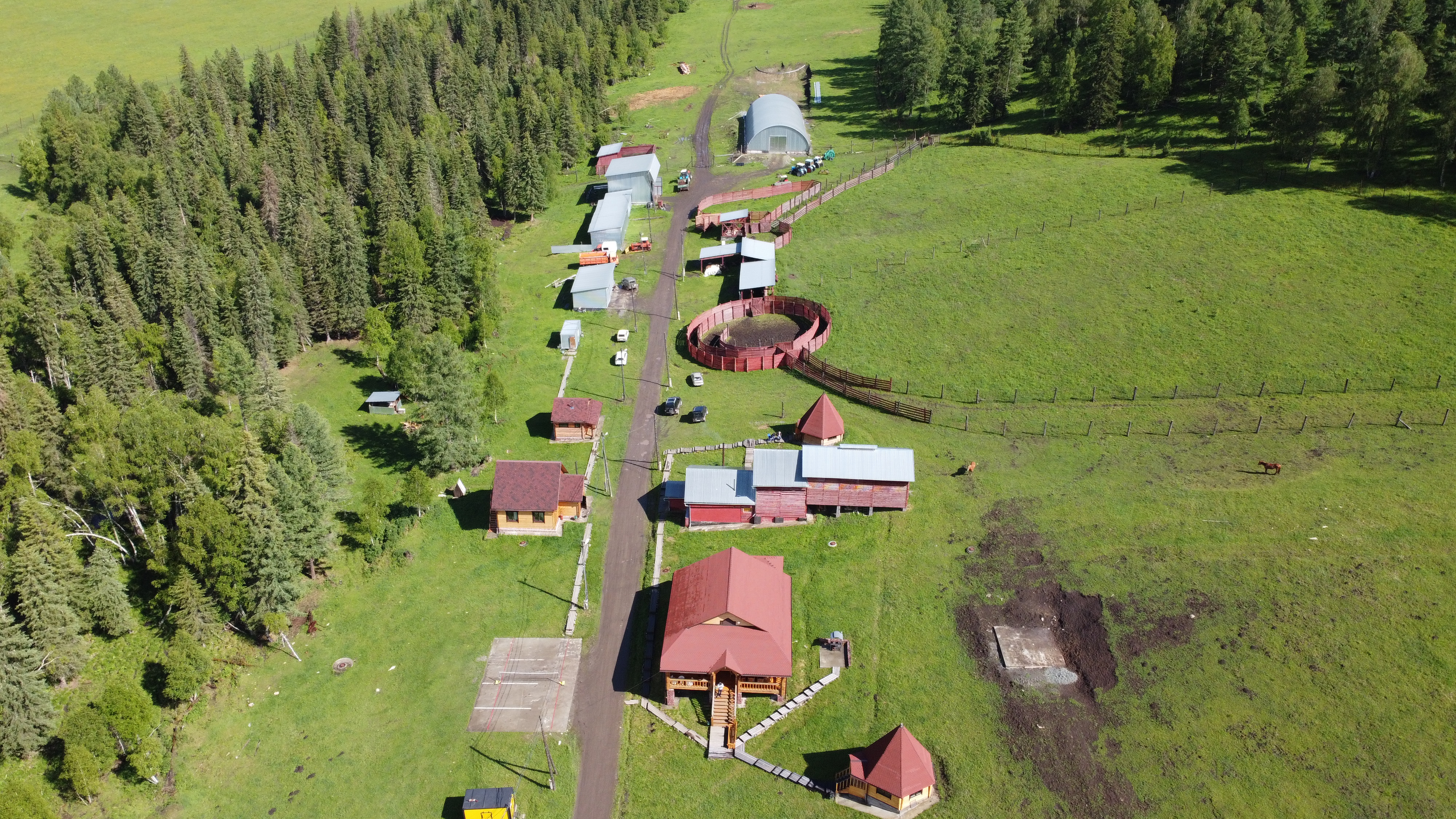 Фото Шебалинский питомник Королевский марал