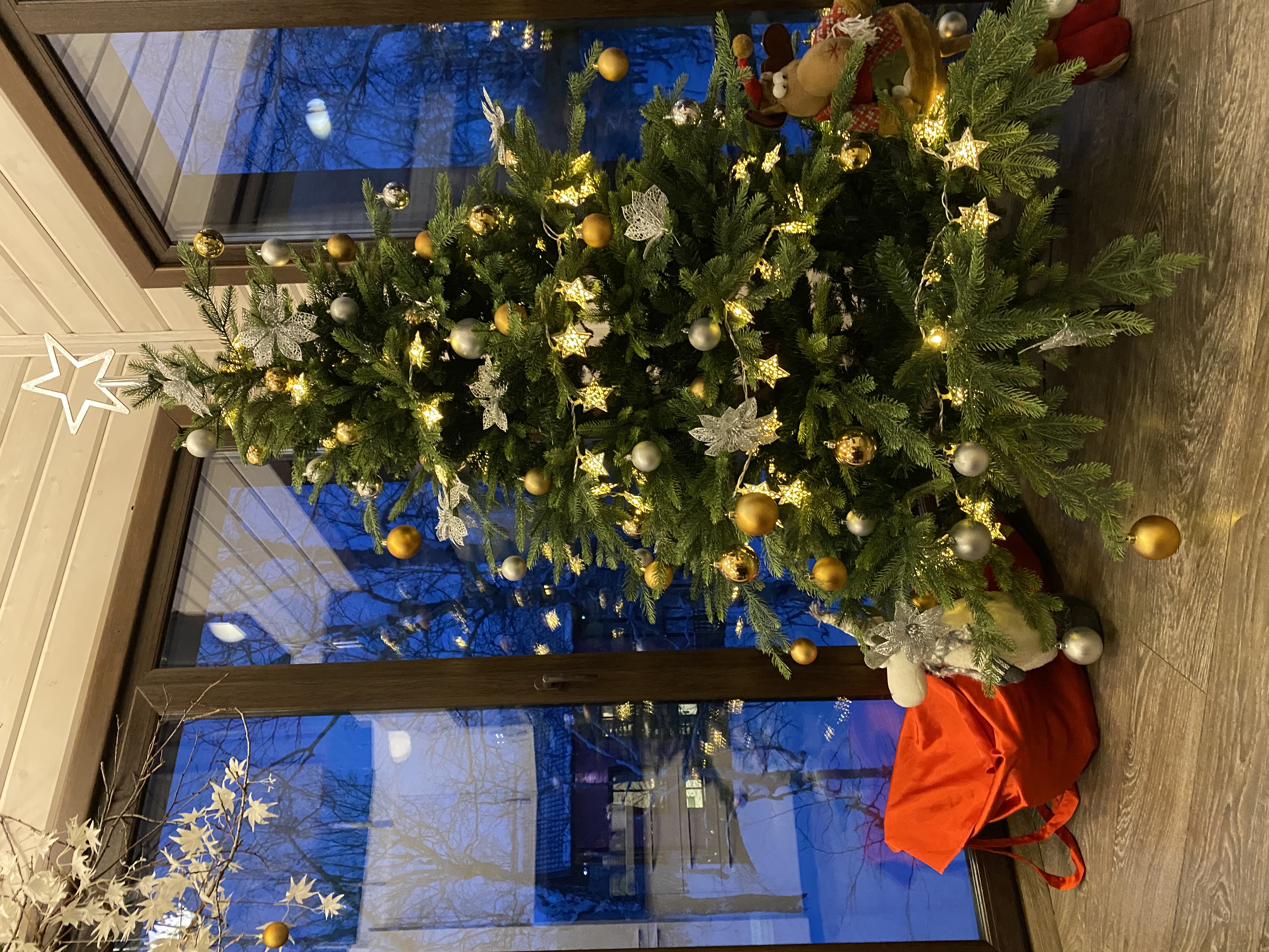 Фото Снежная Долина