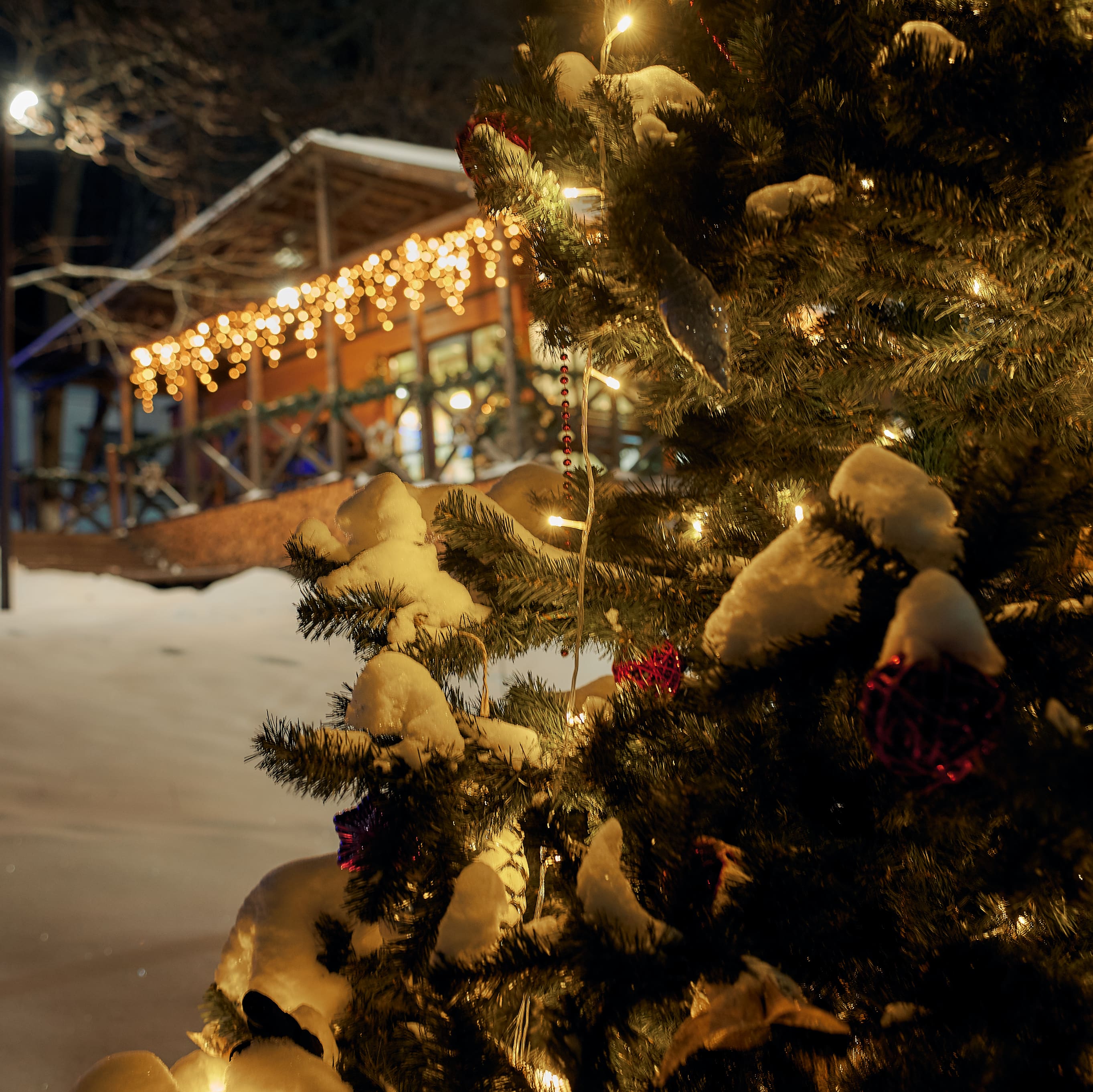 Фото Ливадия