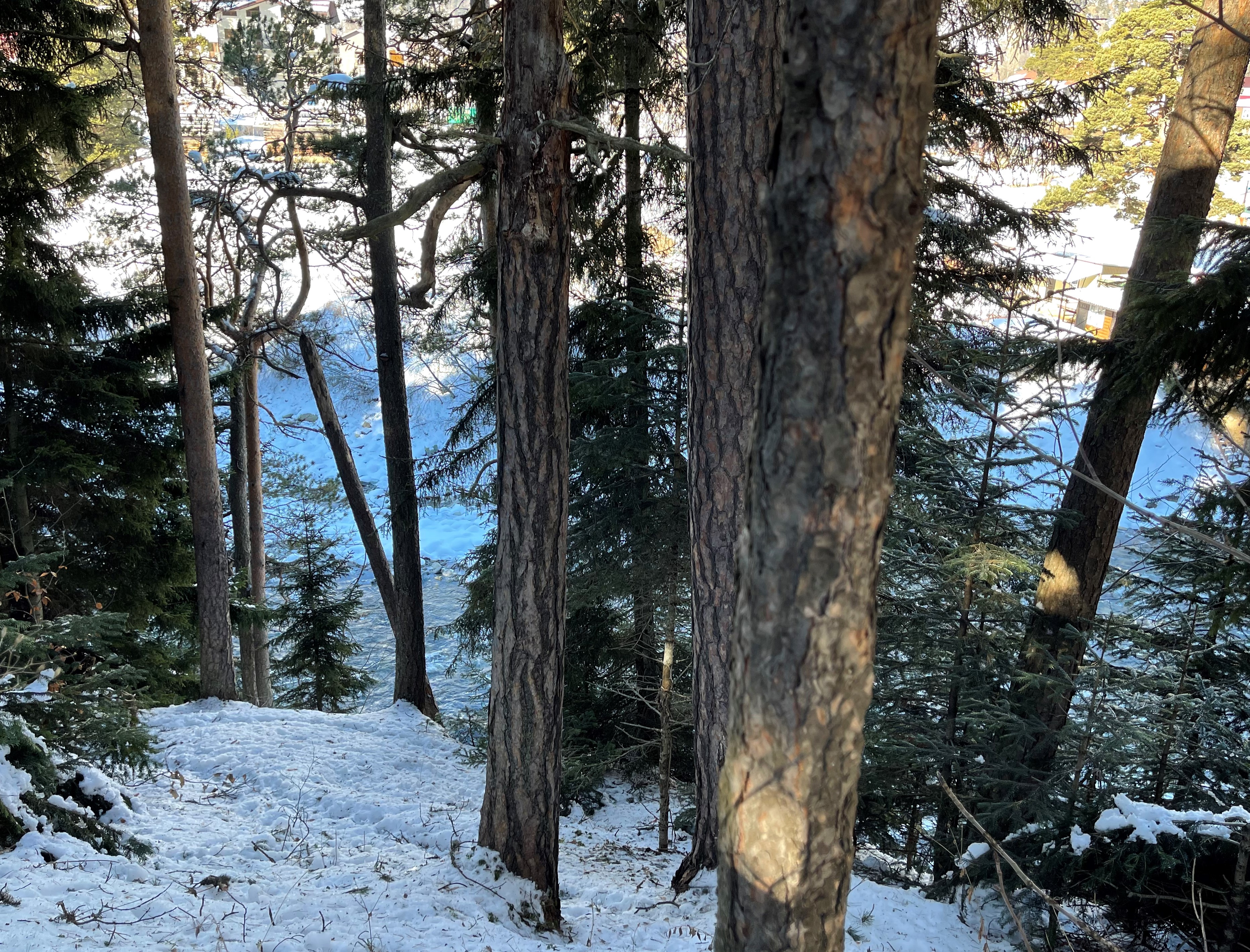 Фото Заповедный Архыз