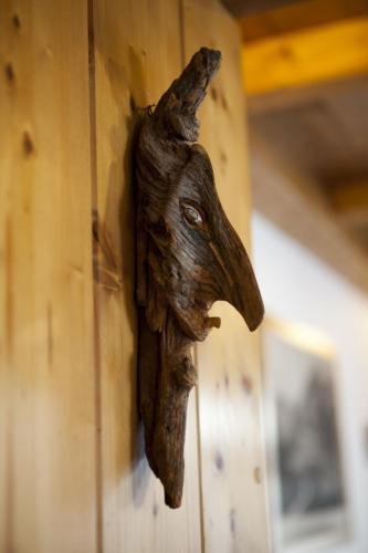 Фото Hotel Bellaria