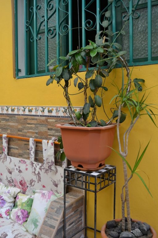 Фото Pensión Playa Mogán