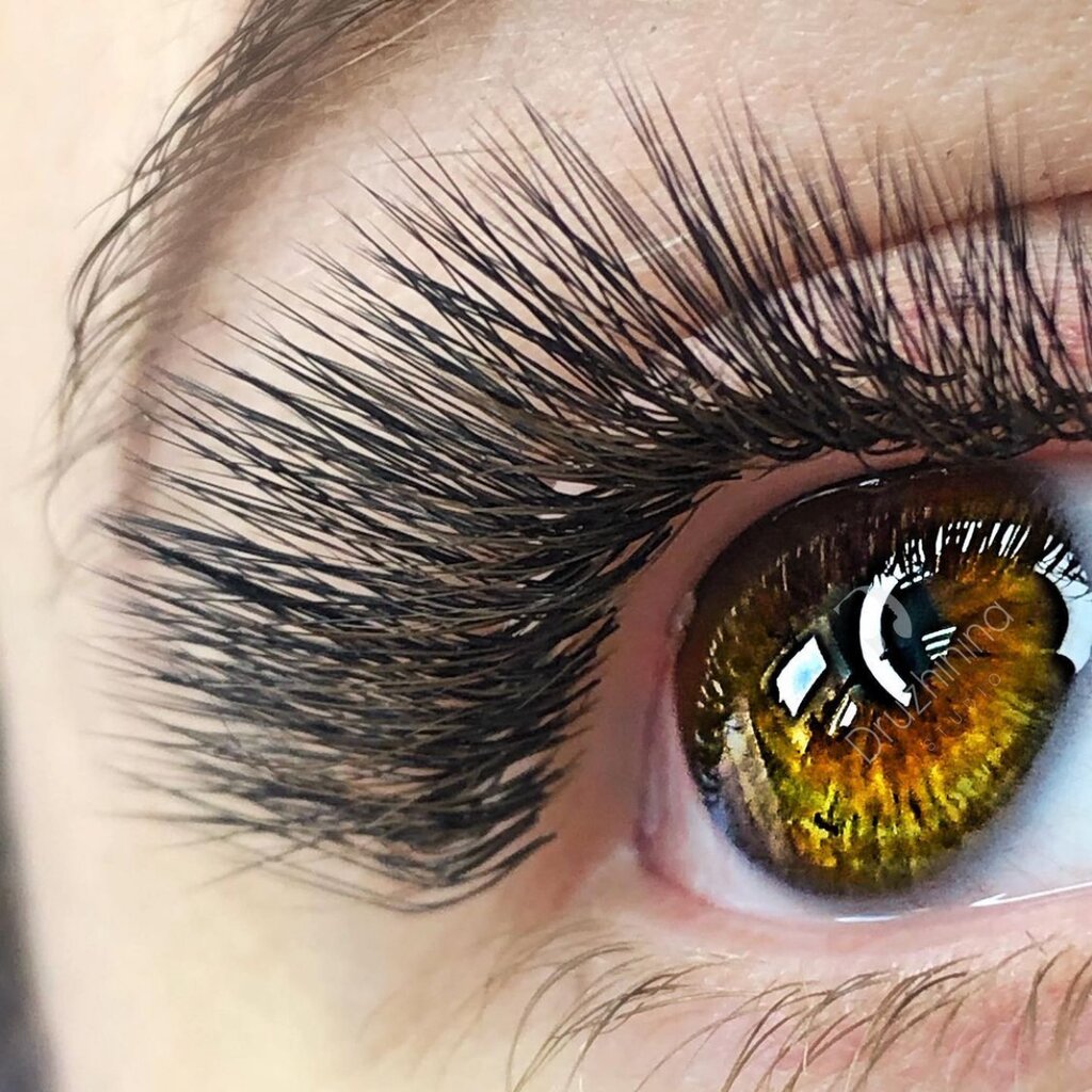 Eyebrow and eyelash salon Студия Красоты Дружининой С., Astrahan, photo