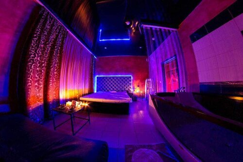 Ормандағы жетілген киска